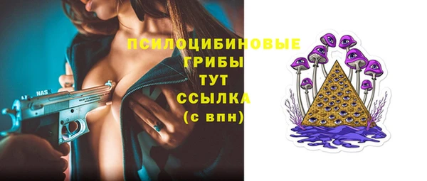 твердый Нефтегорск