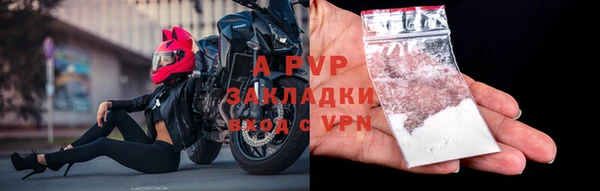 прущие грибы Нея