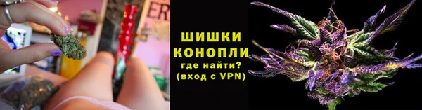 прущие грибы Нея