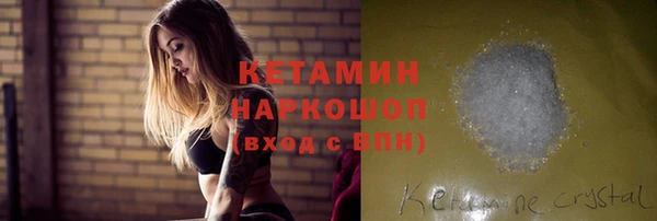 прущие грибы Нея