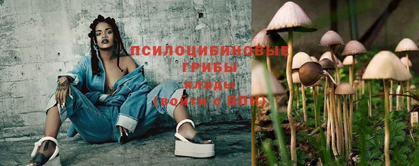 прущие грибы Нея