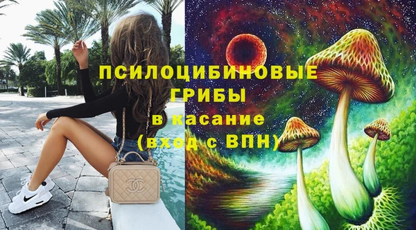 прущие грибы Нея