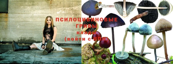 твердый Нефтегорск
