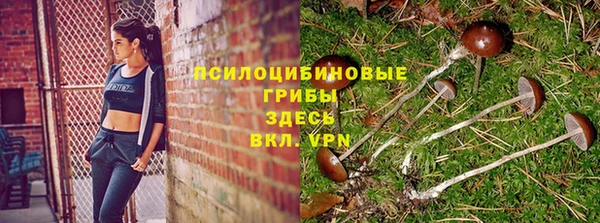 прущие грибы Нея