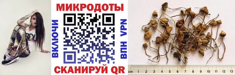 Галлюциногенные грибы Psilocybe  купить наркотики сайты  Ангарск 